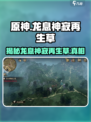 原神：龙息神寂再生草🔥助你战力飙升！