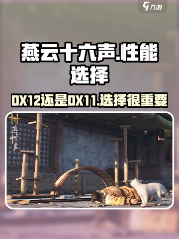 燕云十六声DX12可以选吗介绍截图1