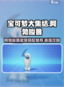 宝可梦大集结阿勃梭鲁徽章带什么介绍