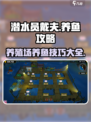 潜水员戴夫养殖场养鱼攻略介绍