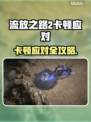 🎮流放之路2卡顿？一招解决超丝滑！
