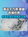 燕云十六声💥菩提苦海任务通关秘籍🎉