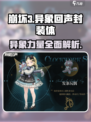 异象回声封装体是什么介绍