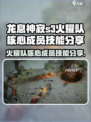 龙息神寂s3火耀队核心成员有几位介绍