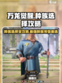 万龙觉醒🔥种族选择全攻略！玩转种族超简单✨
