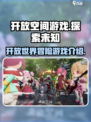 开放空间游戏介绍介绍