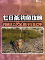 七日世界钓鱼攻略介绍