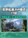 荒野起源有pvp吗介绍