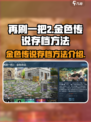 再刷一把2金色传说存档怎么存介绍