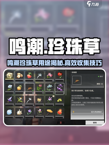 🎮鸣潮珍珠草用途揭秘！高效收集攻略大公开✨截图1
