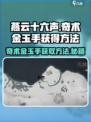 燕云十六声🔥奇术金玉手获取秘籍/Game党必看！
