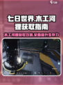 七日世界河狸怎么获取介绍