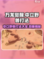 万龙觉醒🔥中立野兽打法详解，轻松取胜的秘密在这里！