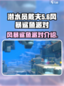 潜水员戴夫风暴鲨鱼在哪？✨手游派对必备！