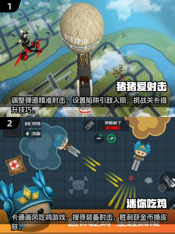2025最受欢迎🔥单机吃鸡游戏合集🎉截图3