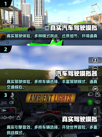 🚗2025必玩！顶级汽车驾驶模拟游戏TOP5🔥截图2