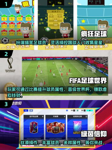 ⚽2024必玩单机足球游戏合集，球迷不容错过！🔥截图2