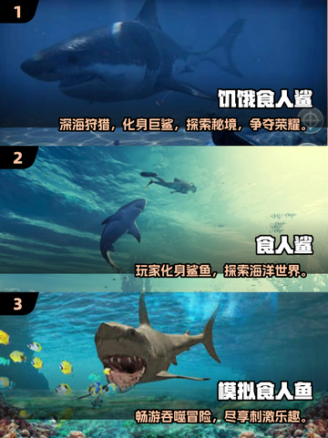 🔥超刺激！经典鲨鱼吃人游戏合集来袭🌊截图2