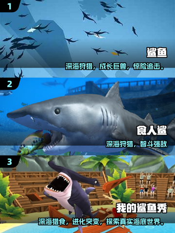 🦈2025必玩食人鲨游戏汇总！惊险刺激等你来战💥截图2
