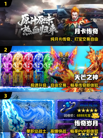 🔥2025最火纯月卡传奇手游💥截图2