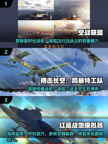 🔥二战飞机空战游戏合集✈2025年最全分享🎉截图2