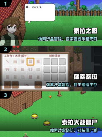 🔥泰拉瑞亚竟来自这个国家？！🎮截图2