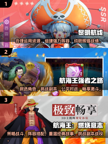 🔥2025超人气航海卡牌游戏下载链接🎉截图2