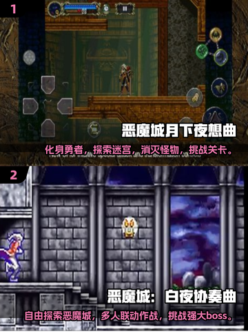 🔥2025必玩恶魔城游戏下载推荐🎉截图3