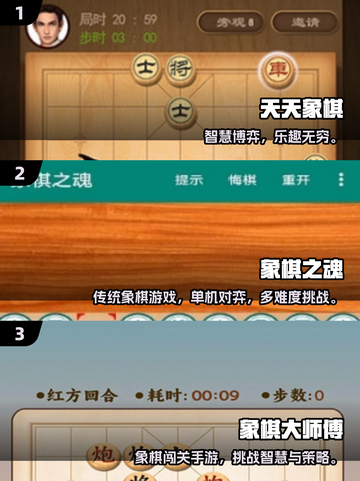 🔥2025经典免费象棋游戏推荐来了！👑截图2