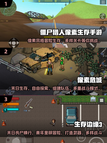 2024必玩🔥像素生存游戏排行💎截图2