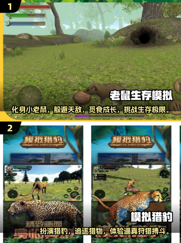 动物生存大挑战🔥好玩到停不下来！🎮截图3