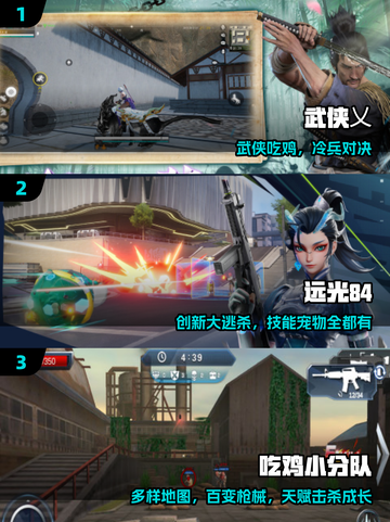 🔥2025吃鸡TOP5，三字神作曝光！💥截图2
