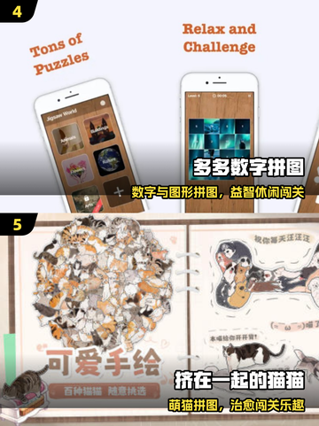 🌍2025最火地理拼图游戏Top榜🔥截图3