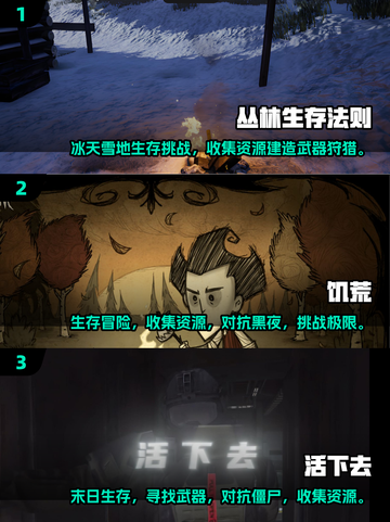 🔥2025高人气生存游戏大揭秘！💥截图2