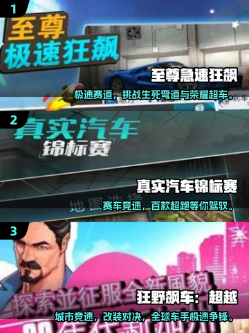 2025🔥赛车游戏TOP榜💥🎮手速狂飙！截图2
