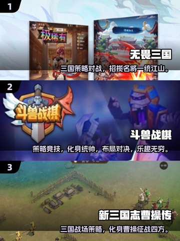 🔥2025战棋游戏TOP榜💥超好玩的策略王者👑截图2