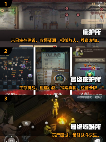 🔥2025热门庇护所手游大揭秘！🎮截图2