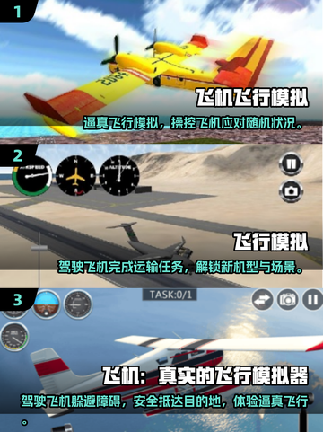 🚀2025最受欢迎飞机手游大揭秘！快来下载体验✈截图2