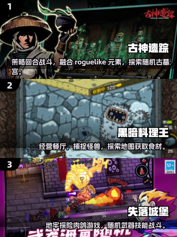 🔥2025经典肉鸽单机游戏大合集来袭！🎮截图2