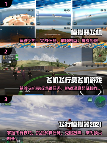 2024必玩🔥模拟飞行手游推荐✈截图2