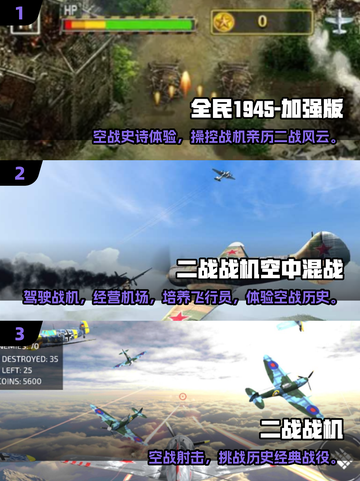 🔥2025必玩二战空战单机游戏推荐！✈截图2