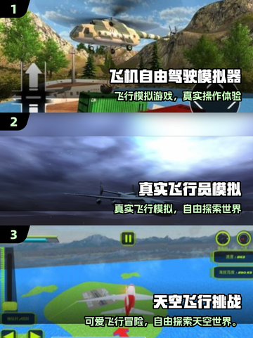 2025🔥超好玩的飞机自由游戏大合集✈截图2