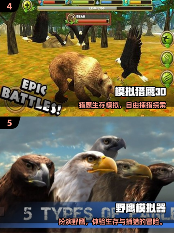 🦅2025最刺激老鹰模拟手游榜单！🔥截图3