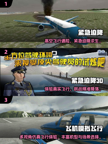 ✈2025最刺激飞机迫降游戏TOP5💥截图2