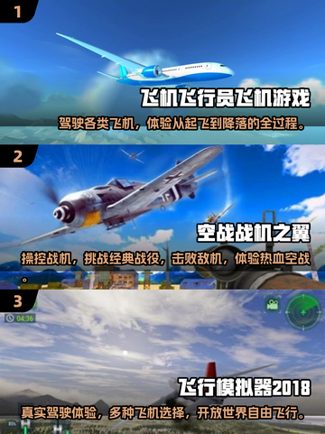 2025最🔥模拟开飞机手游✈下载秘籍✨截图2