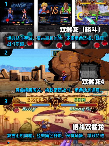 🔥双截龙游戏合集2025下载推荐🎮截图2