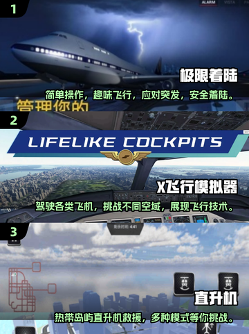 🔥2024最受欢迎飞机手游合集🎉单机版大全来啦！✈截图2
