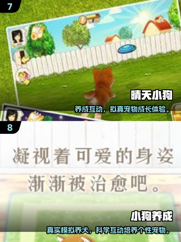 🐾狗狗超爱的100种游戏大公开！🔥截图4