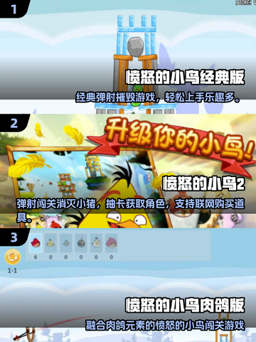 💥2025最火愤怒的小鸟游戏大揭秘！🎮截图2
