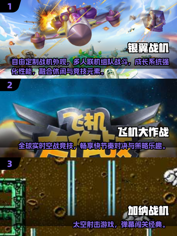 🔥2025必玩2D飞机单机游戏汇总✨截图2